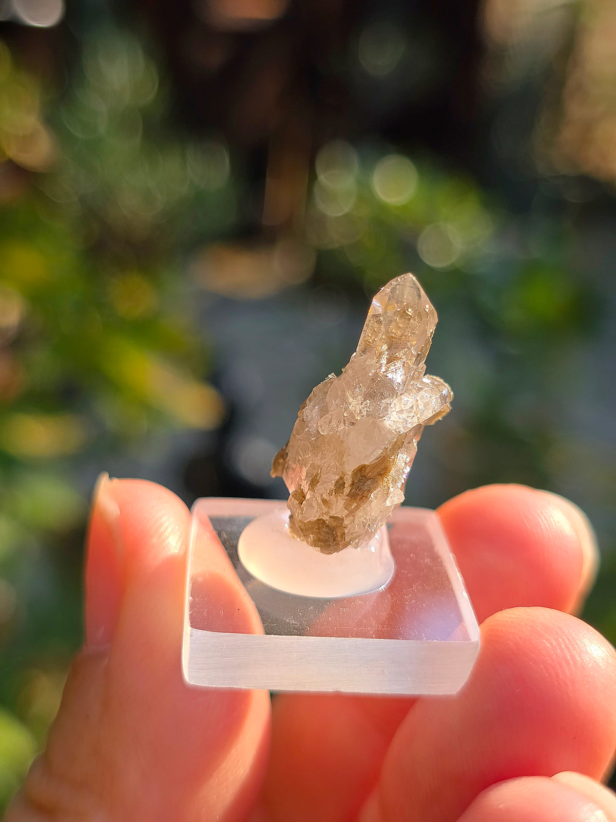 Quartz avec inclusions d'épidote français