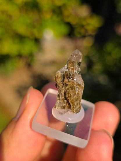 Quartz avec inclusions d'épidote des Pyrénées