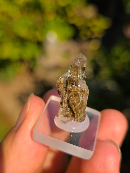 Quartz avec inclusions d'épidote des Pyrénées