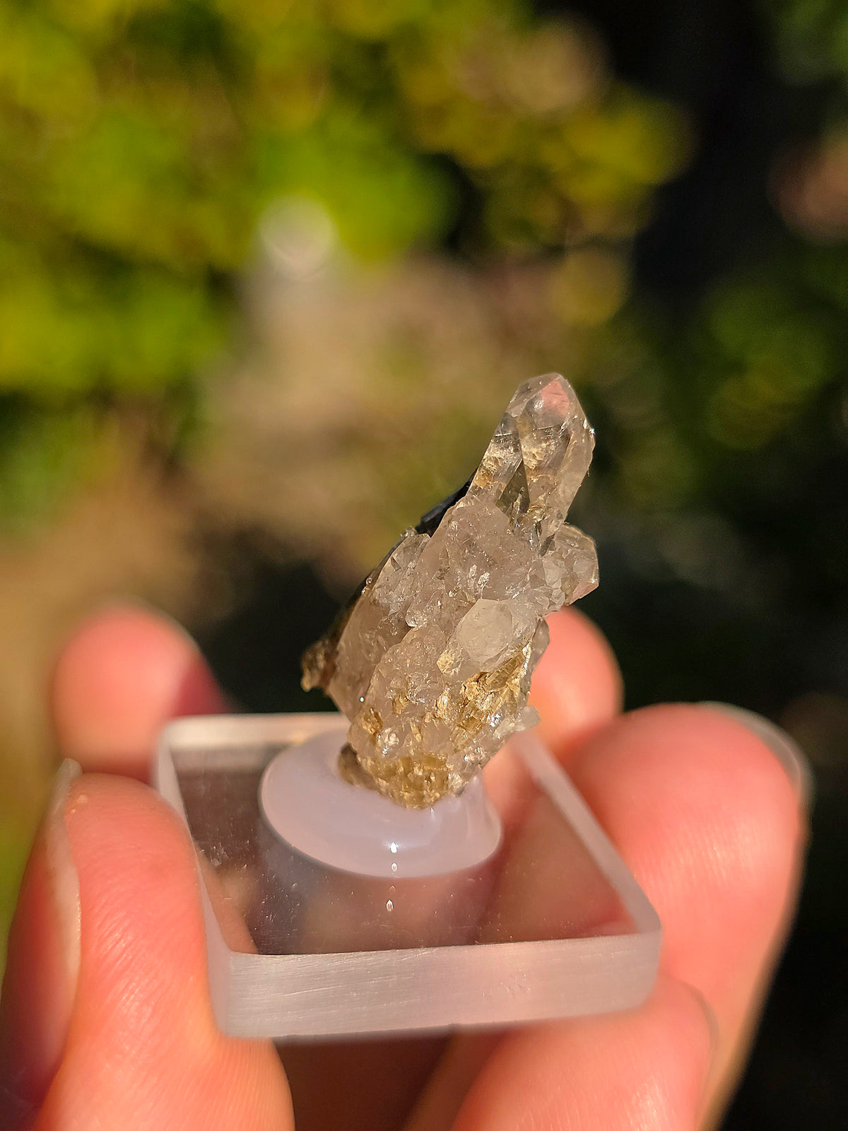 Quartz avec inclusions d'épidote des Pyrénées