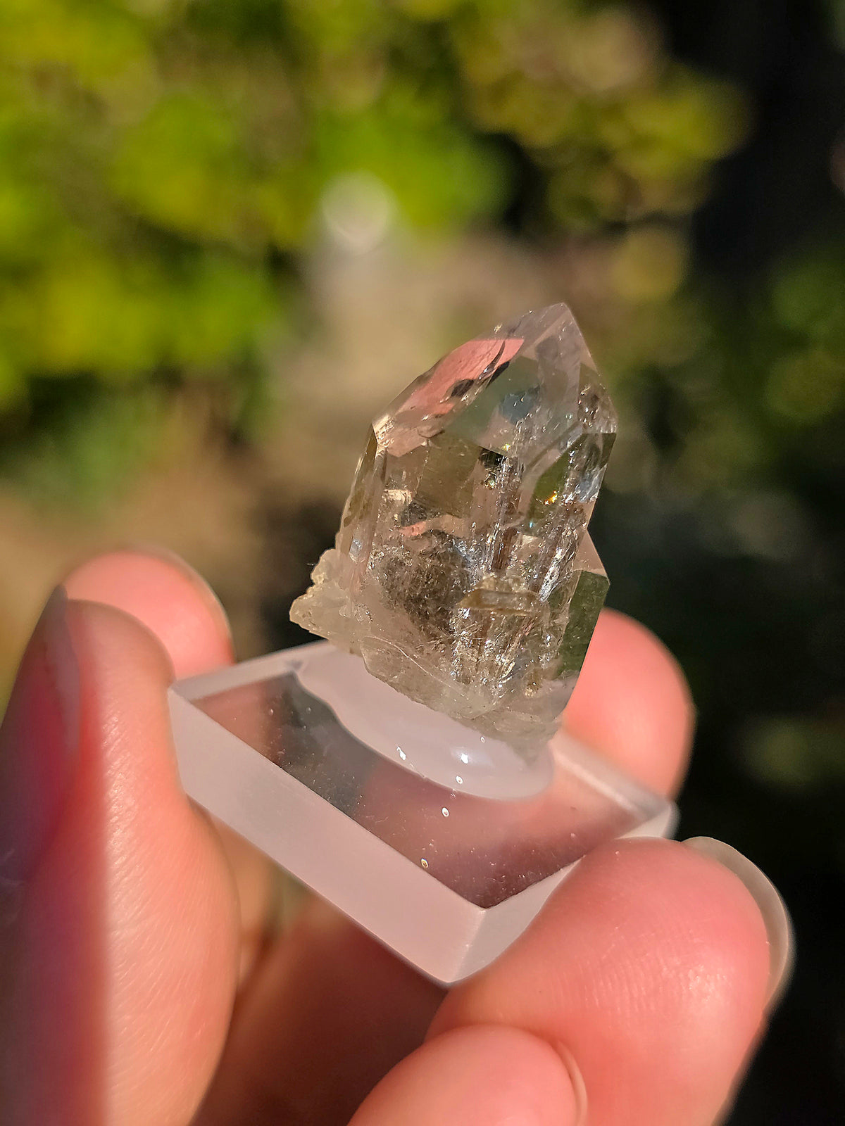 Quartz avec inclusions d'épidote
