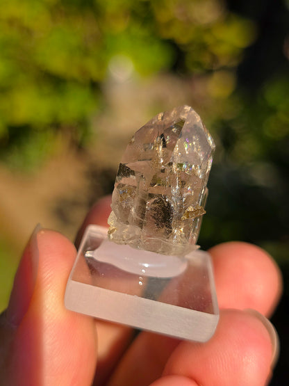 Quartz avec inclusions d'épidote