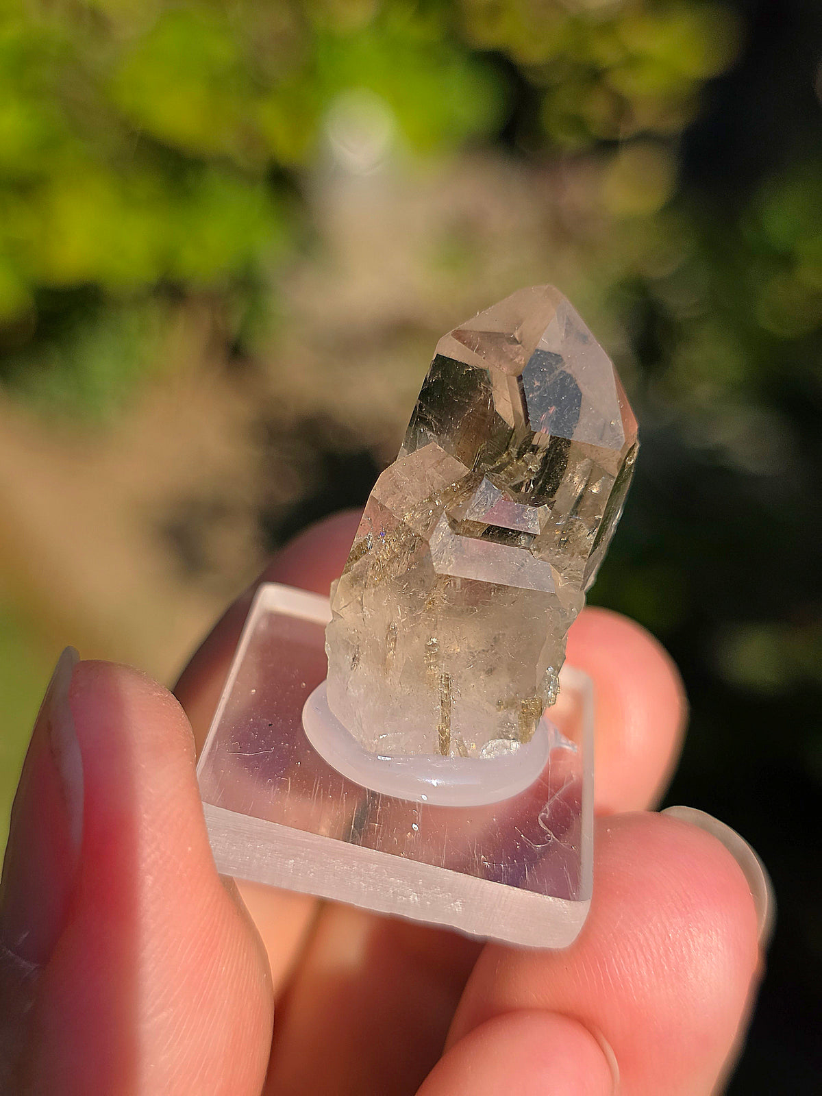 Quartz avec inclusions d'épidote français