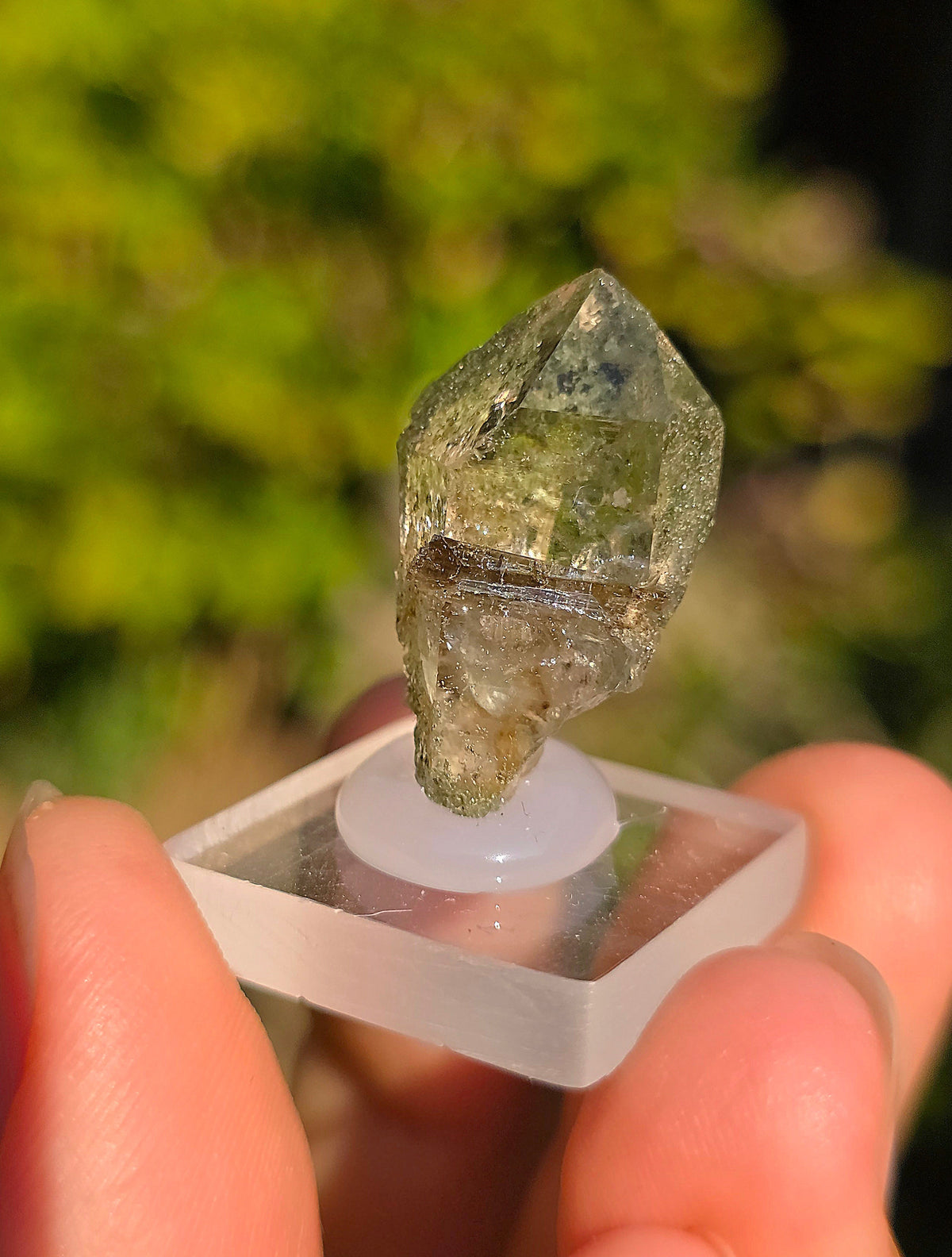 Quartz avec Chlorite et épidote des Pyrénées
