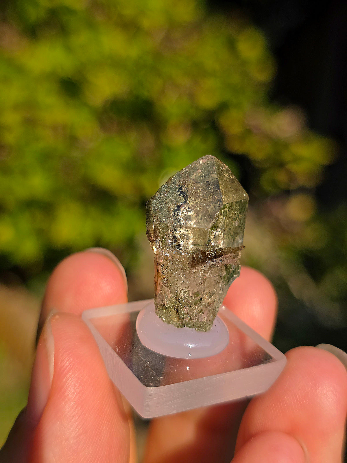 Quartz avec Chlorite et épidote des Pyrénées, France