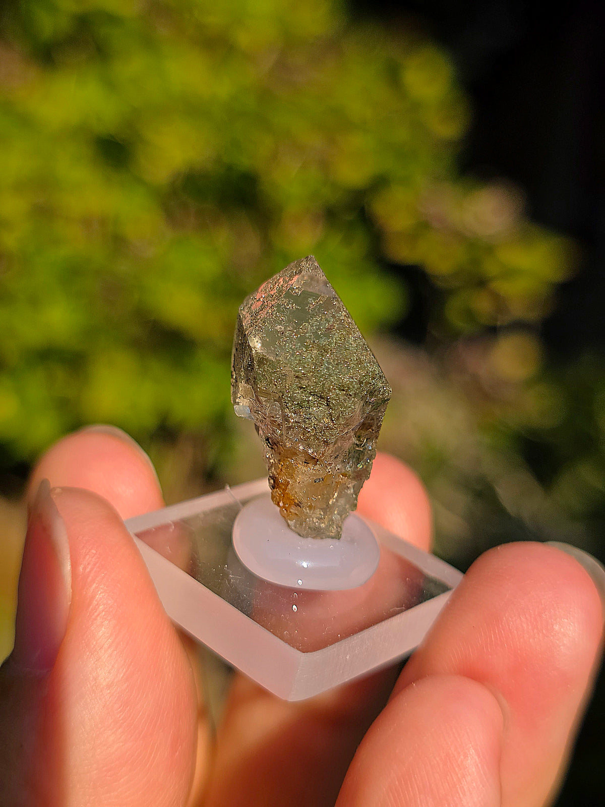Quartz avec Chlorite et épidote des Pyrénées, France