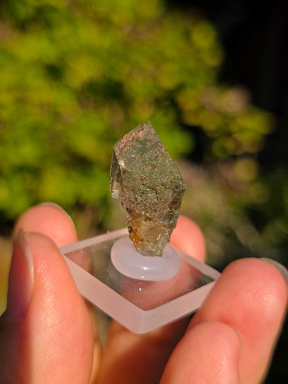 Quartz avec Chlorite et épidote des Pyrénées, France