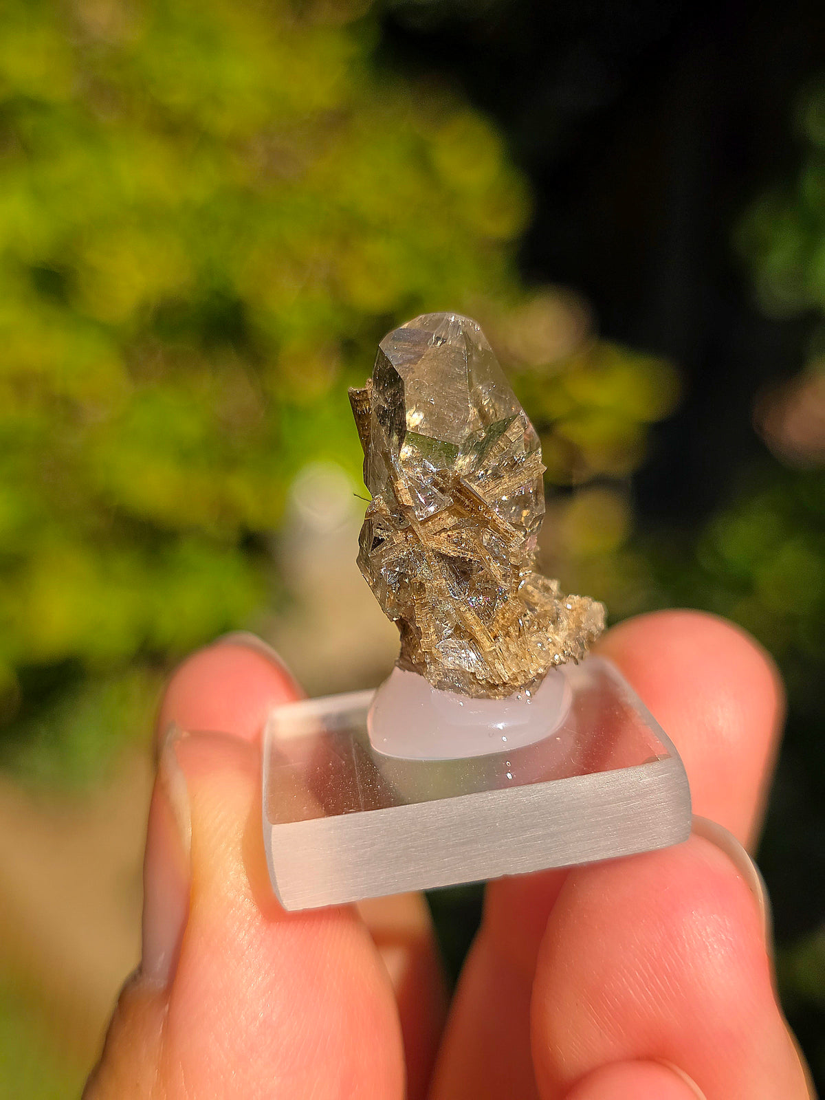 Quartz avec inclusions d'épidote des Pyrénées