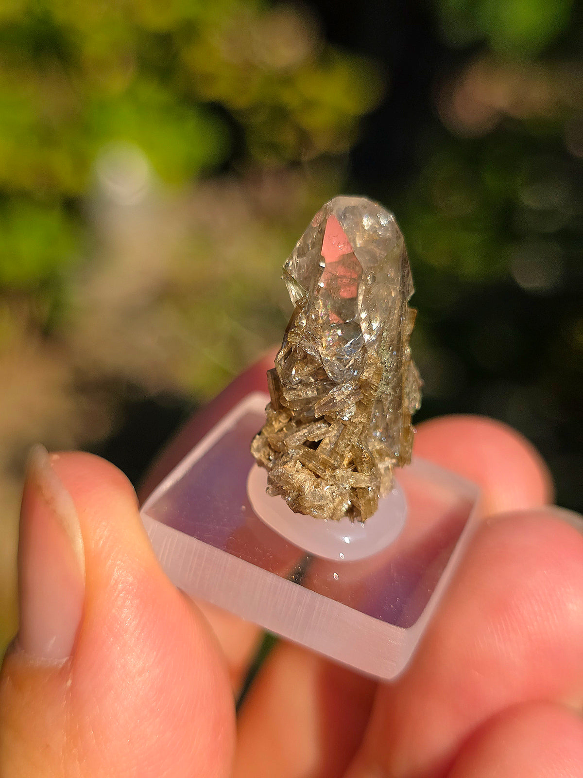 Quartz avec inclusions d'épidote des Pyrénées