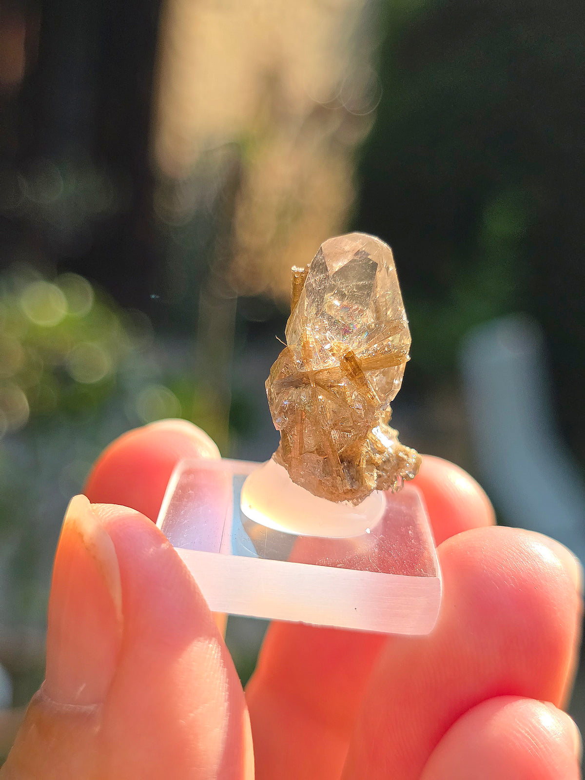 Quartz avec inclusions d'épidote des Pyrénées