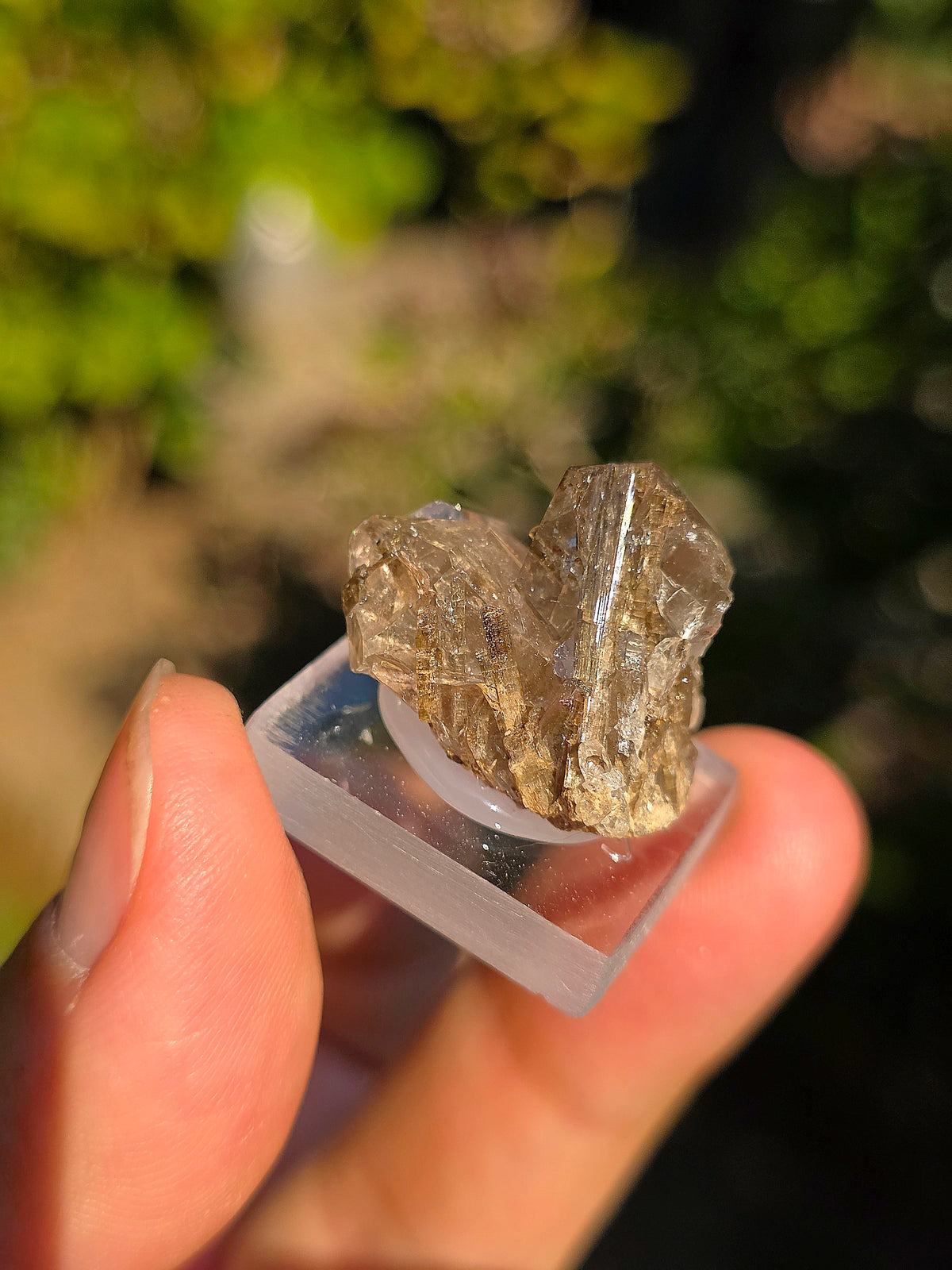 Quartz avec inclusions d'épidote des Pyrénées