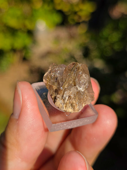 Quartz avec inclusions d'épidote des Pyrénées