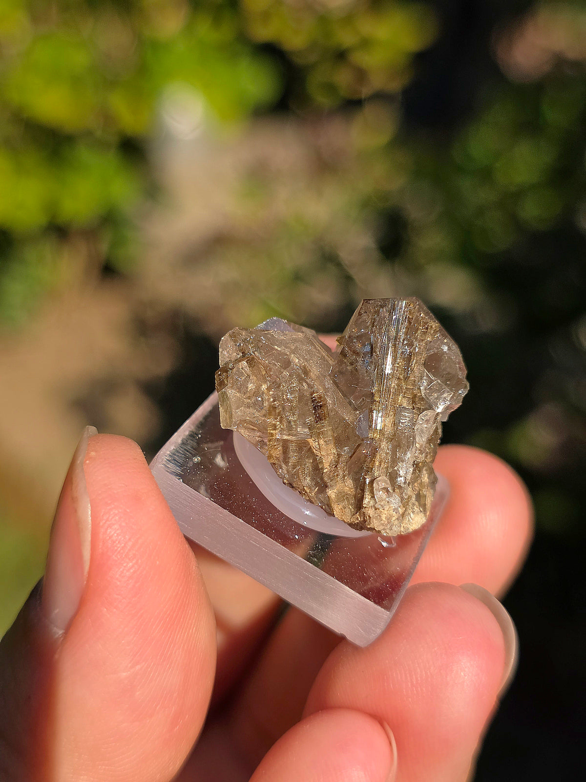 Quartz avec inclusions d'épidote des Pyrénées