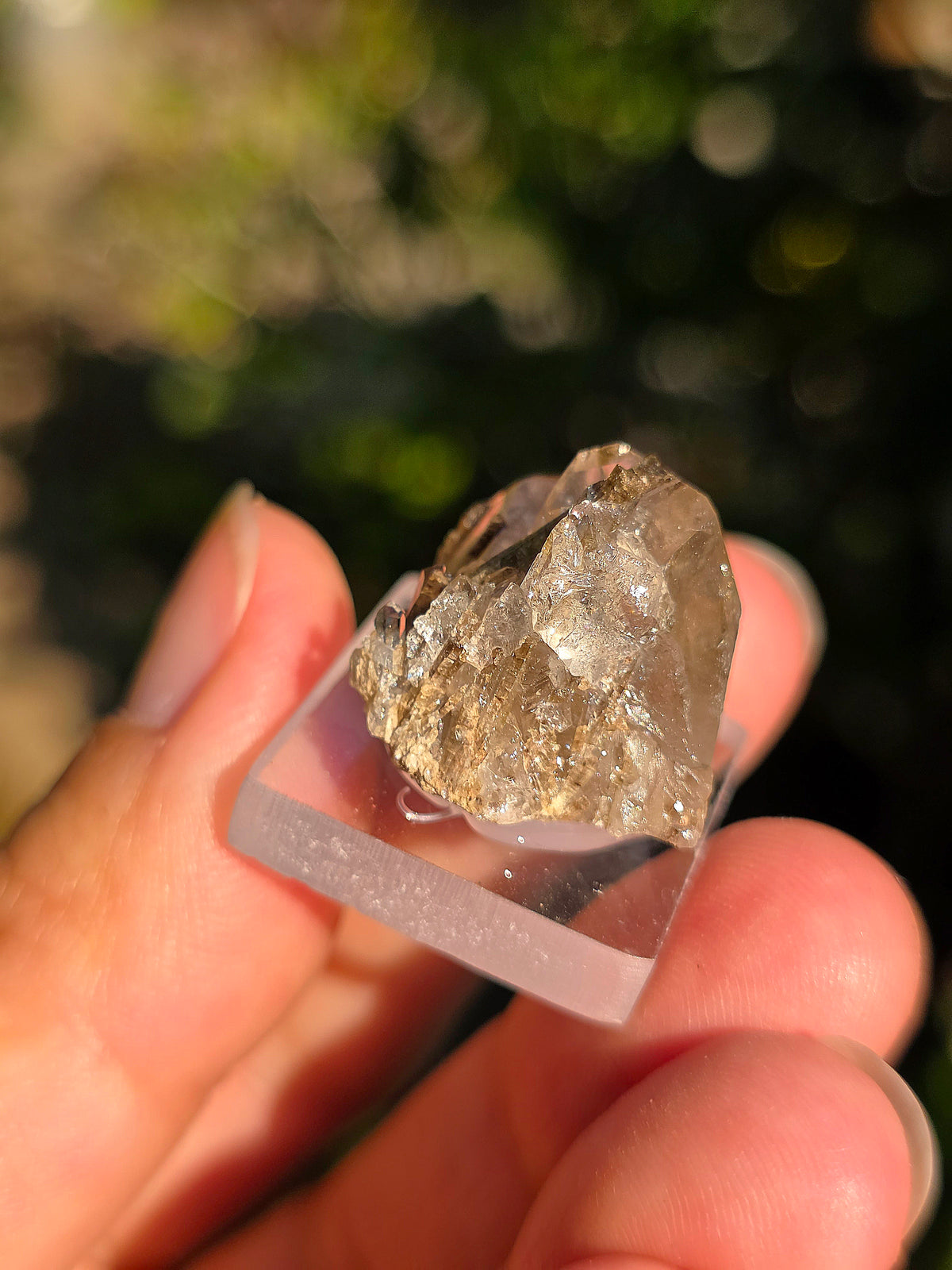 Quartz avec inclusions d'épidote des Pyrénées