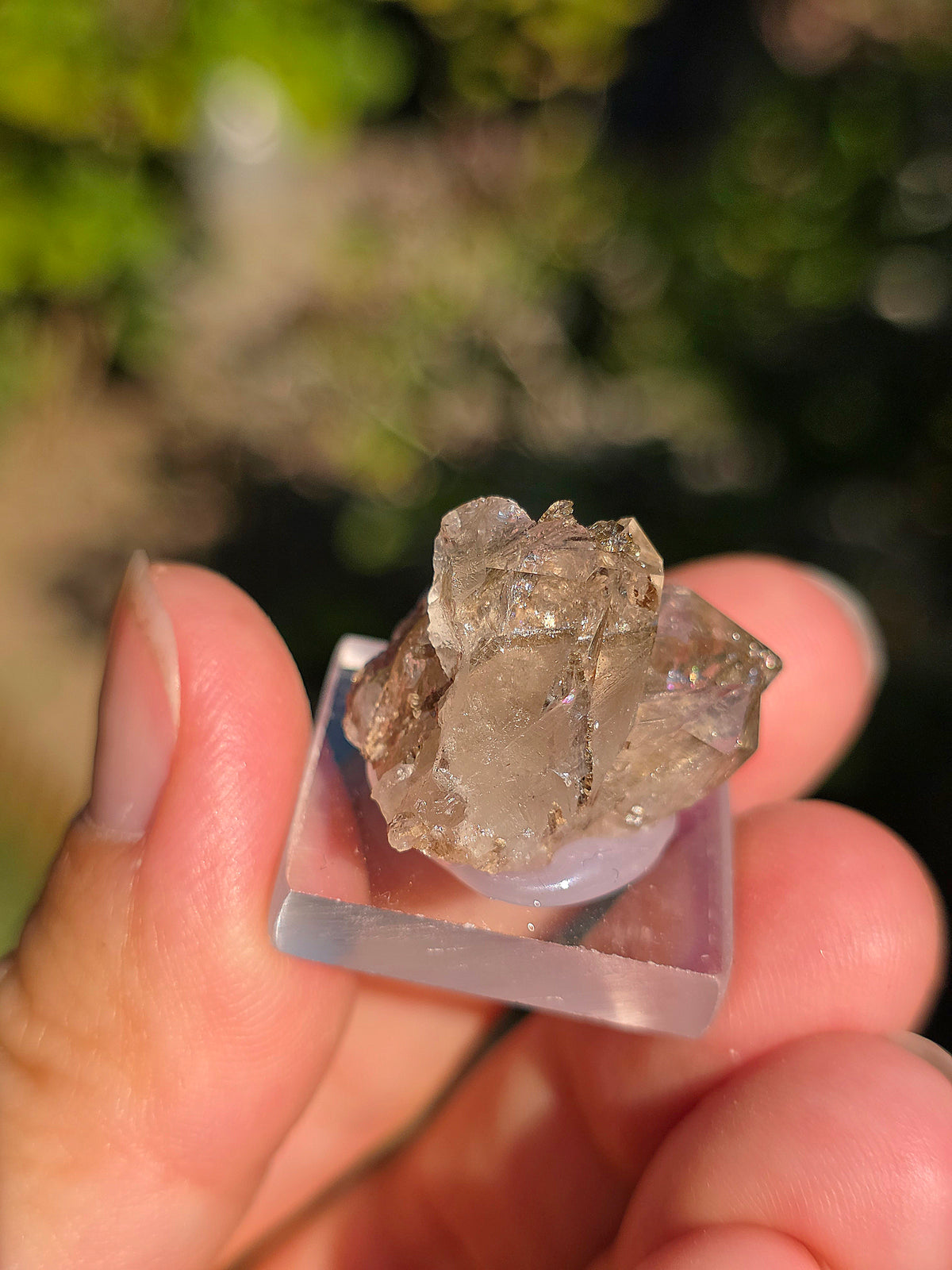 Quartz avec inclusions d'épidote des Pyrénées