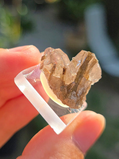 Quartz avec inclusions d'épidote des Pyrénées