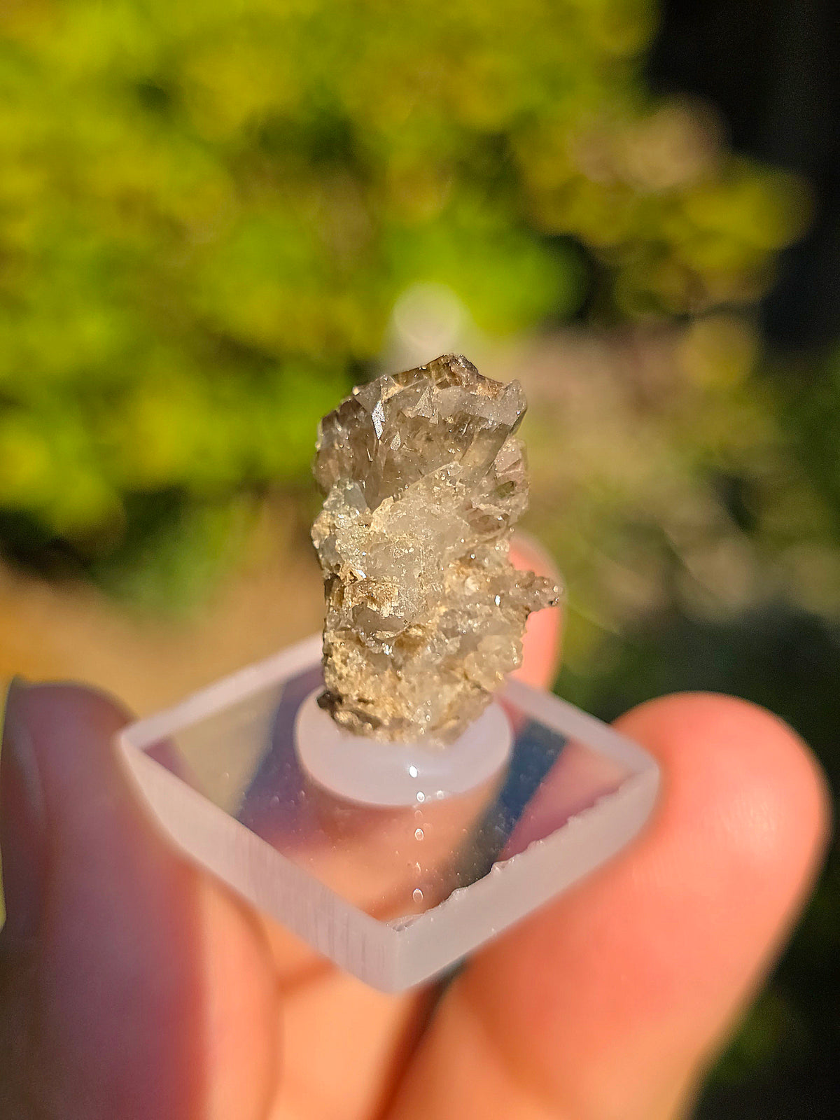 Quartz avec inclusions d'épidote français