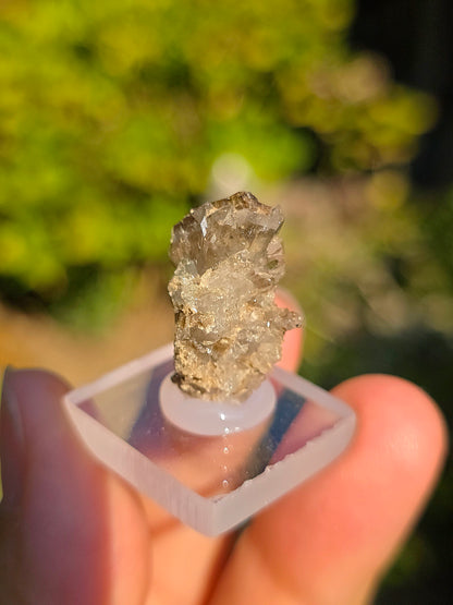 Quartz avec inclusions d'épidote français