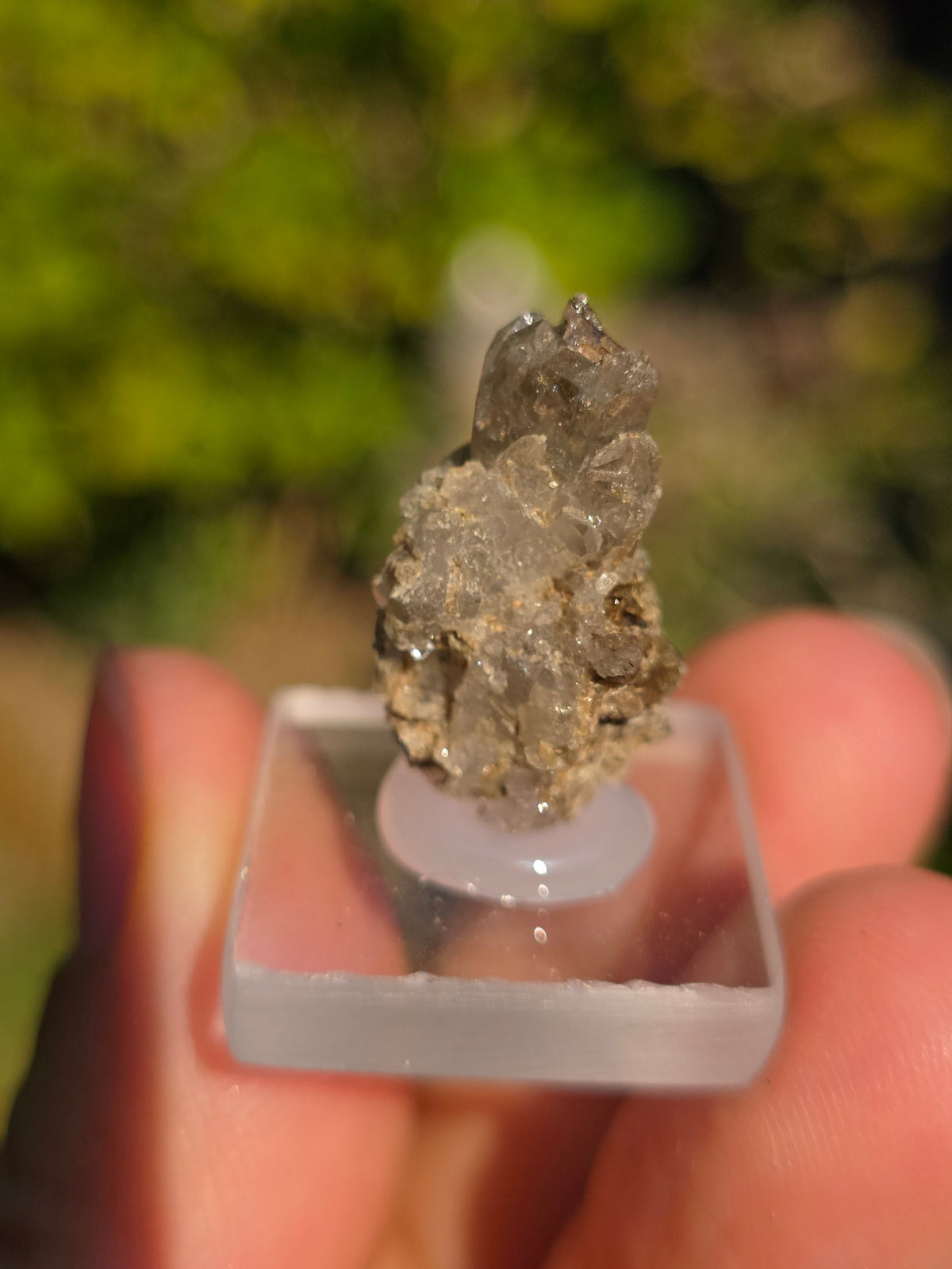Quartz avec inclusions d'épidote français