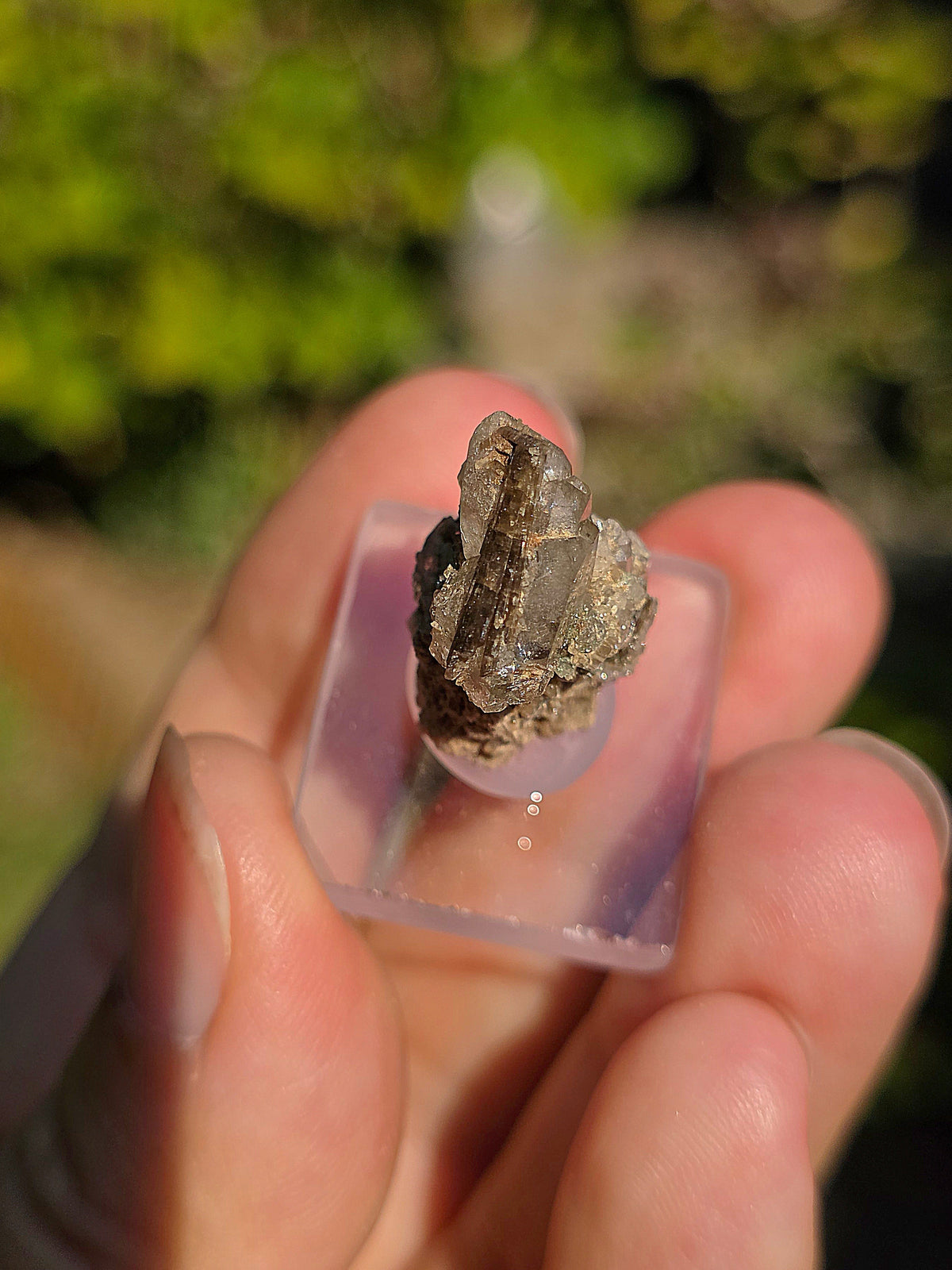 Quartz avec inclusions d'épidote