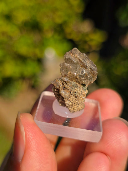 Quartz avec inclusions d'épidote