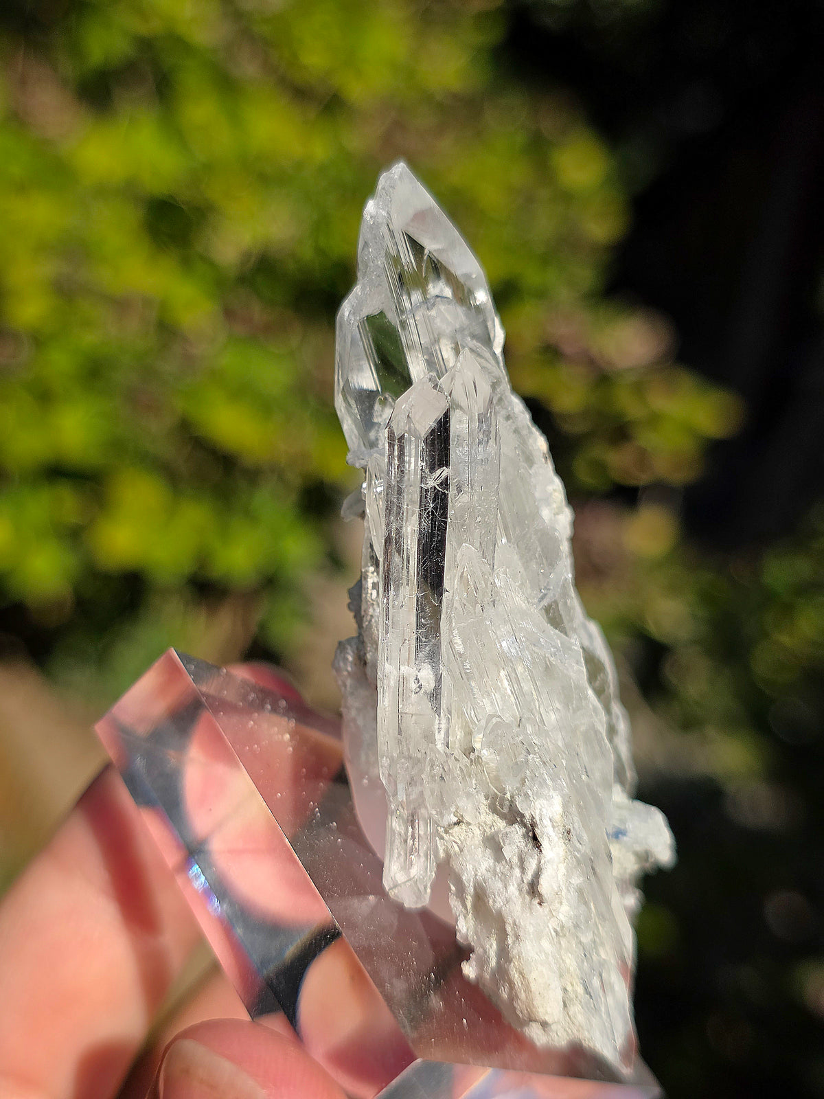 Gypse d'Arignac dans l'Ariège, France, sur socle