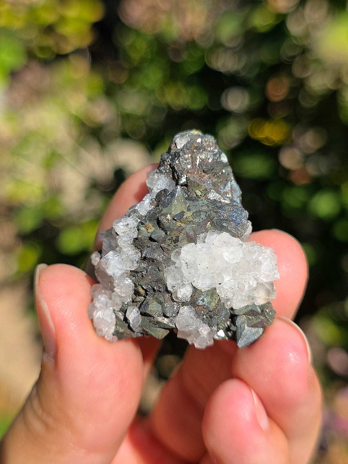 Tétraédrite ariégeoise brute avec Quartz et Chalcopyrite