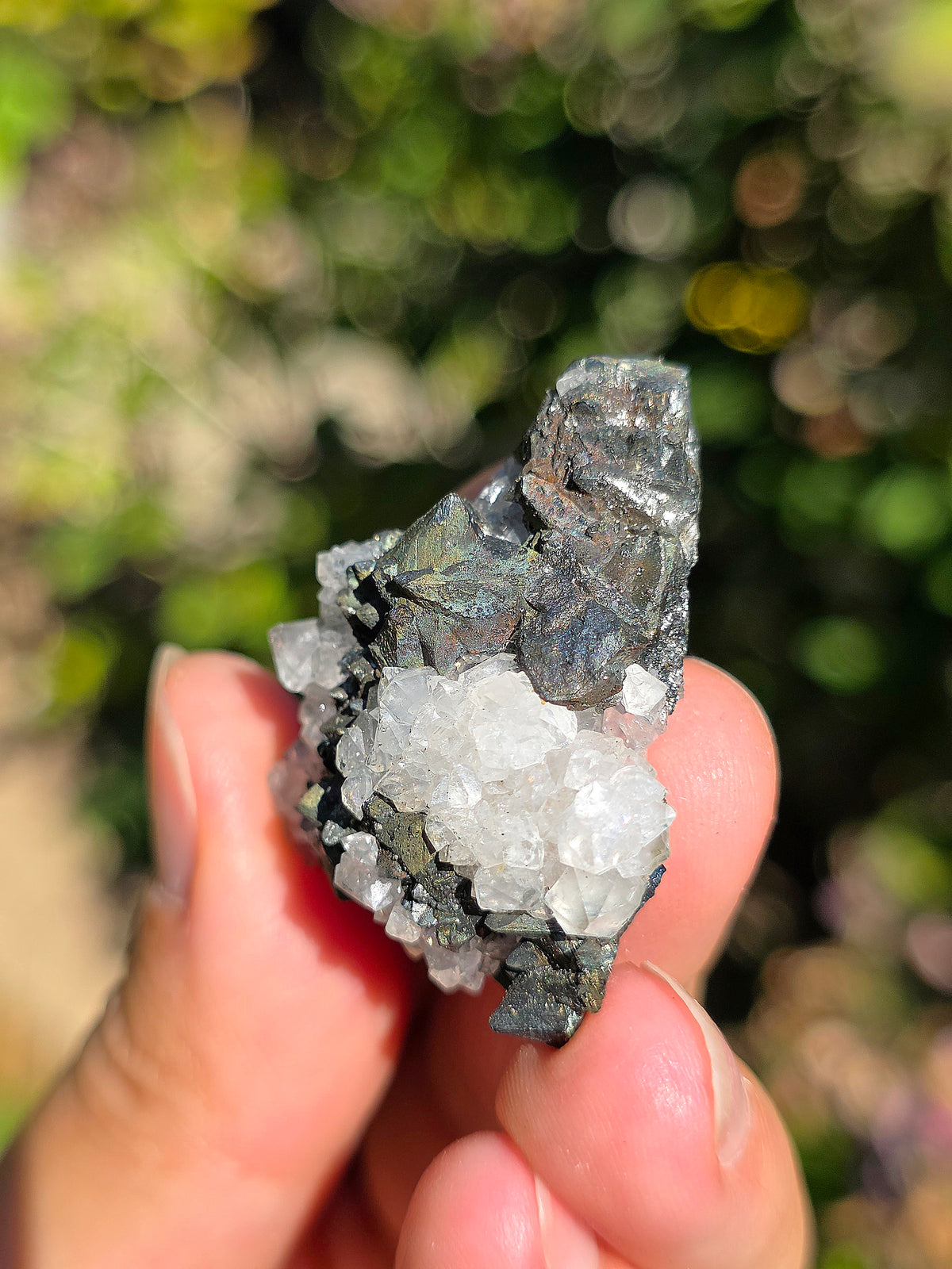 Tétraédrite ariégeoise brute avec Quartz et Chalcopyrite