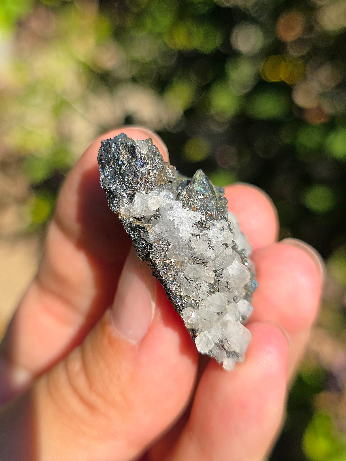 Tétraédrite ariégeoise brute avec Quartz et Chalcopyrite