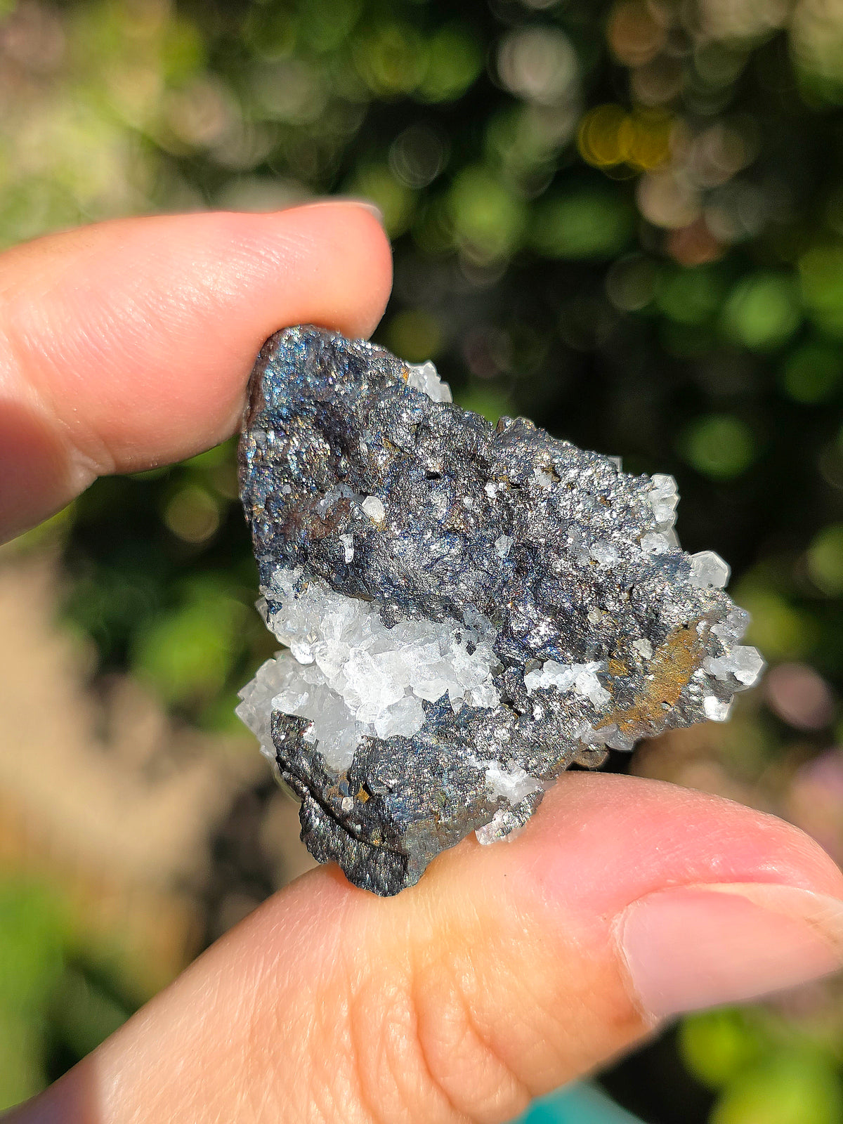 Tétraédrite ariégeoise brute avec Quartz et Chalcopyrite