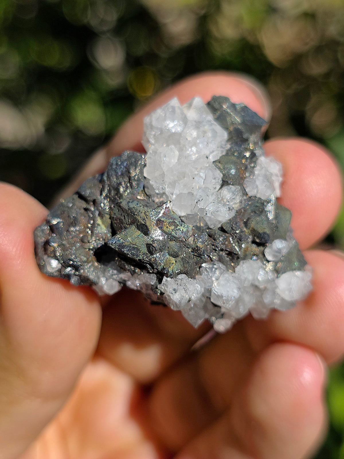 Tétraédrite ariégeoise brute avec Quartz et Chalcopyrite
