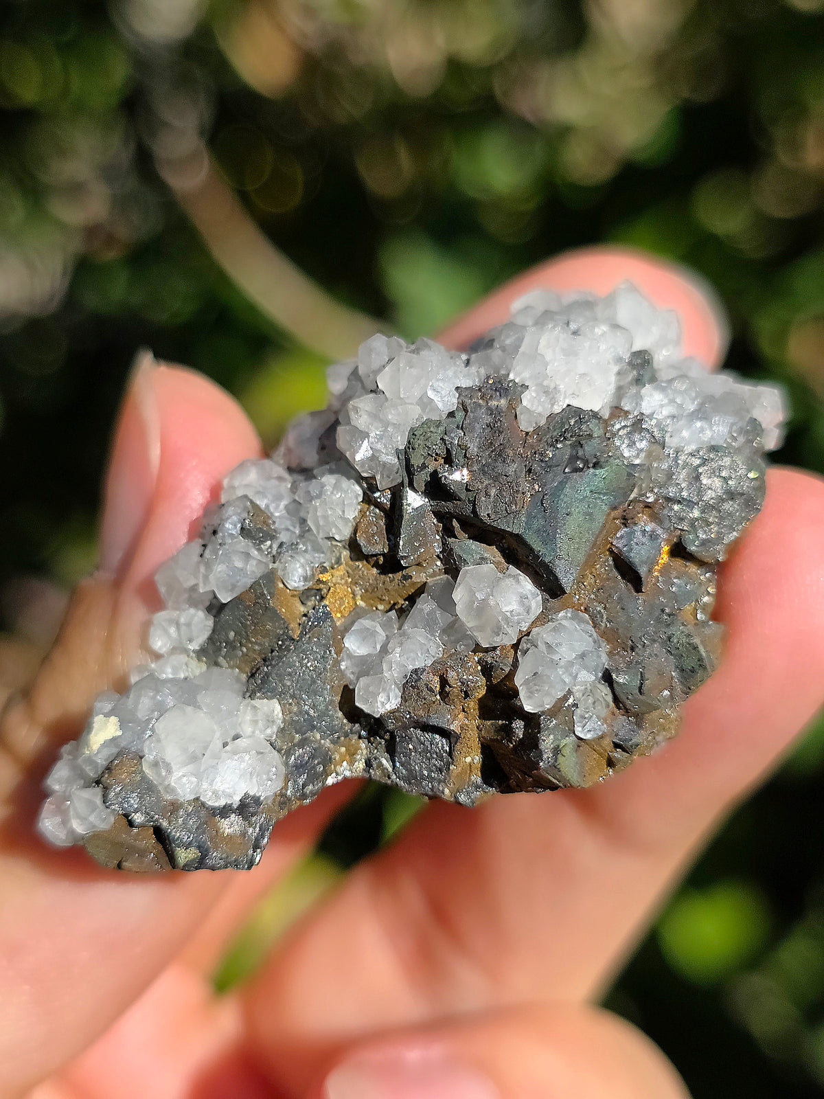 Tétraédrite ariégeoise brute avec Quartz et Chalcopyrite