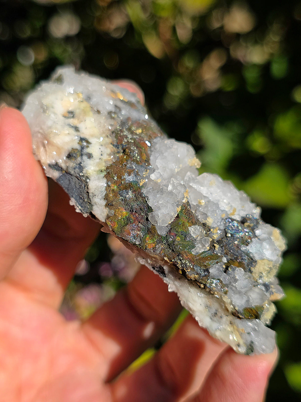 Tétraédrite ariégeoise brute avec Quartz et Chalcopyrite