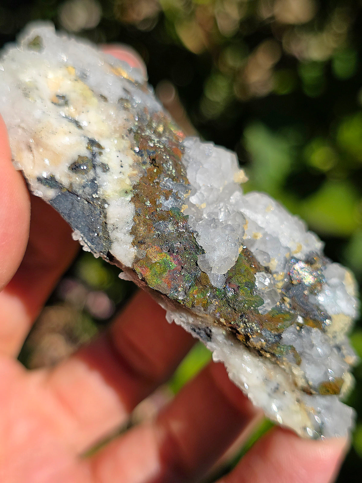 Tétraédrite ariégeoise brute avec Quartz et Chalcopyrite