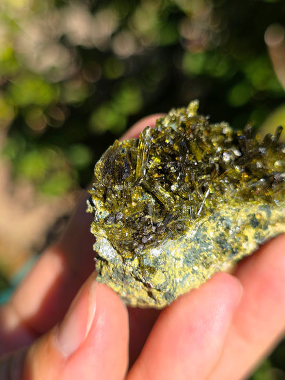 Epidote brute de Lérida en Espagne