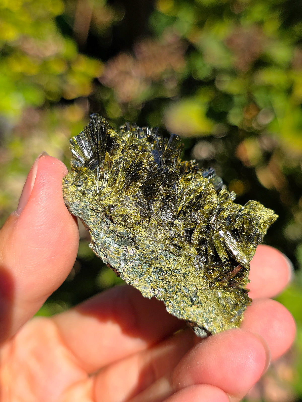 Epidote brute de Lérida en Espagne