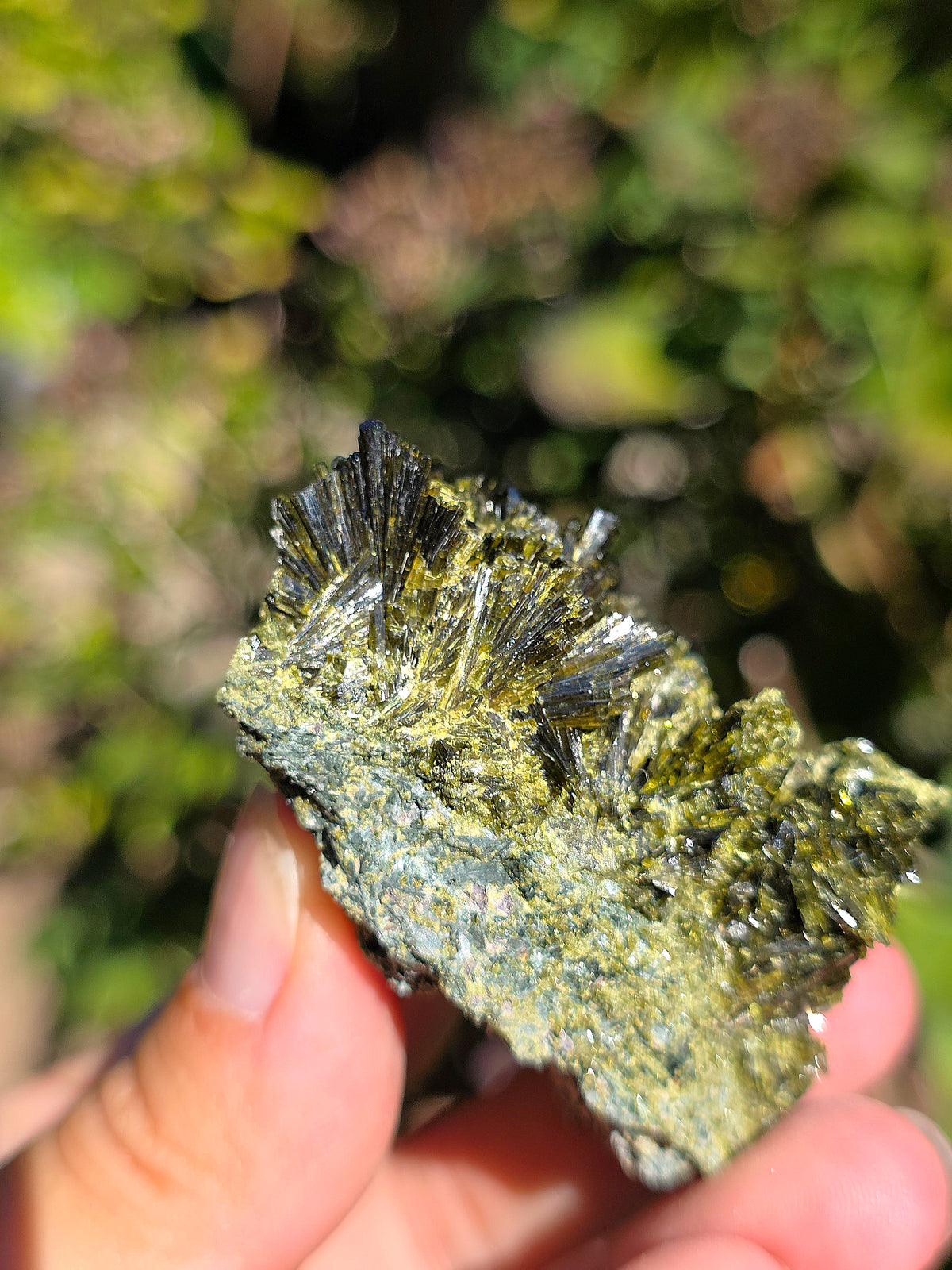Epidote brute de Lérida en Espagne
