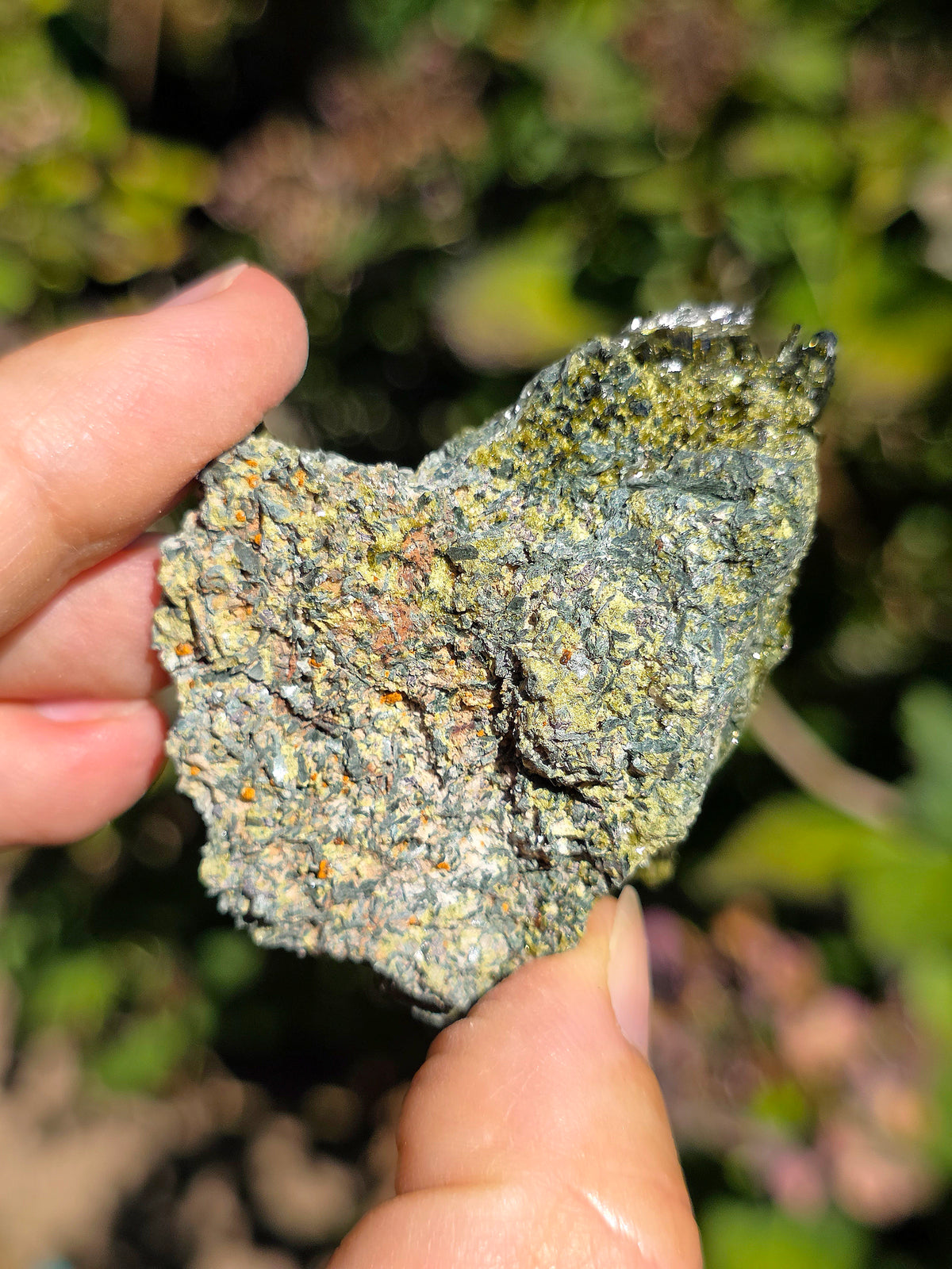 Epidote brute de Lérida en Espagne