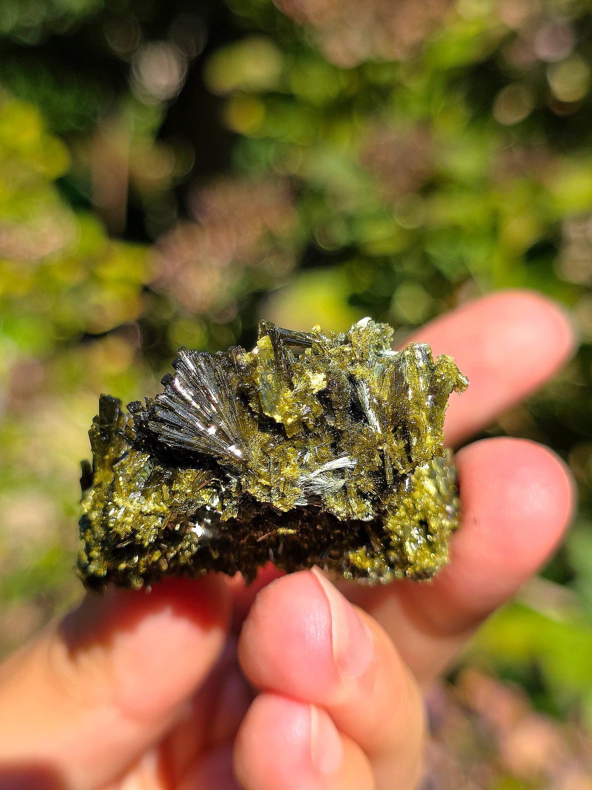 Superbe épidote brute de Lérida en Espagne