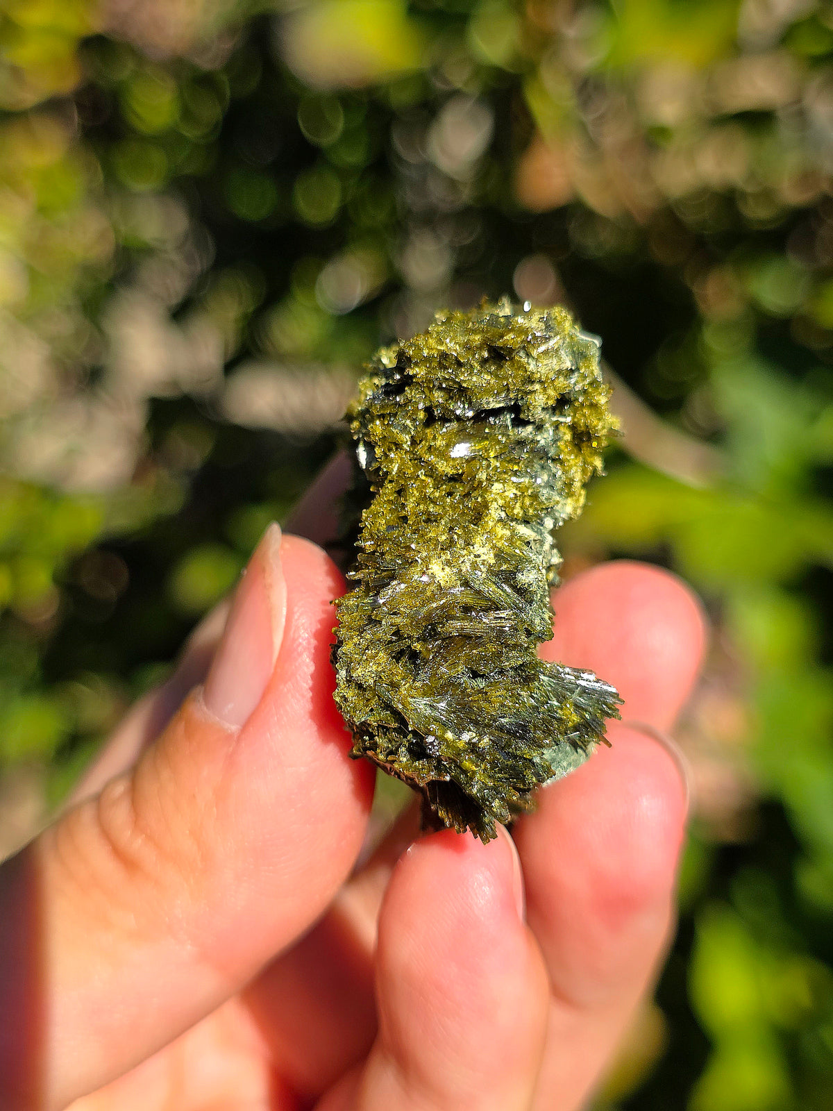 Superbe épidote brute de Lérida en Espagne