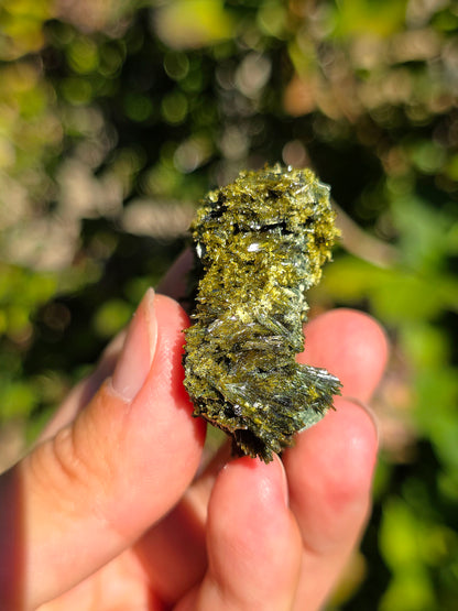 Superbe épidote brute de Lérida en Espagne