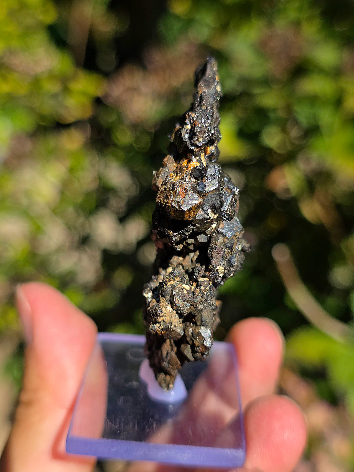 Jolie Pyrite du Pibeste sur son socle en verre.