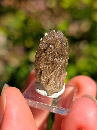  Quartz avec inclusions d'épidote des Pyrénées