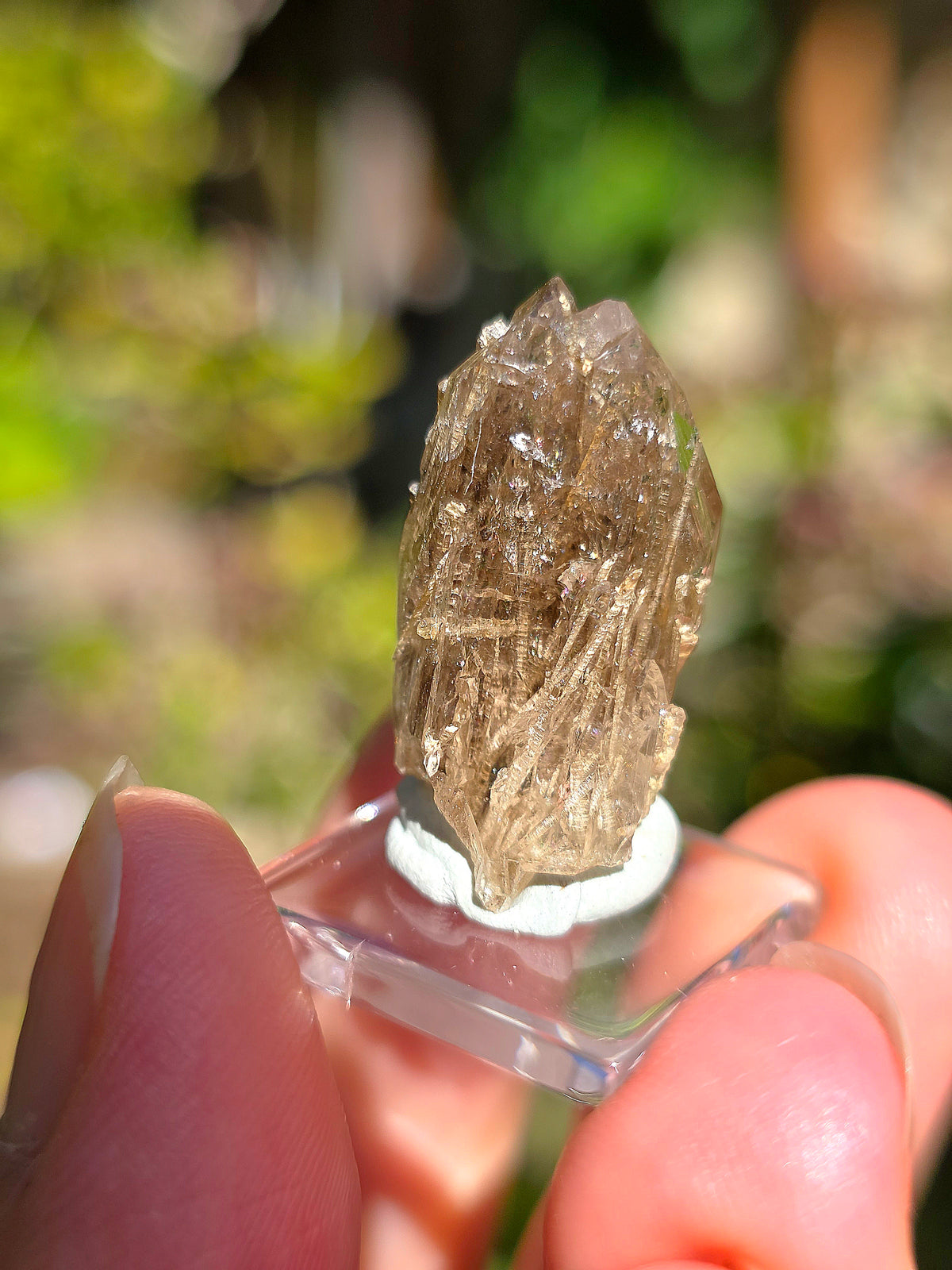  Quartz avec inclusions d'épidote des Pyrénées