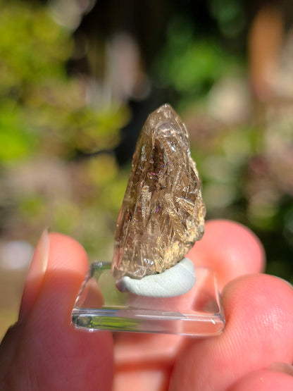  Quartz avec inclusions d'épidote des Pyrénées