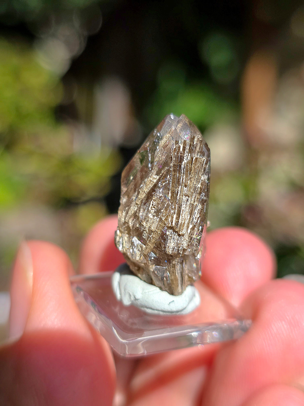  Quartz avec inclusions d'épidote des Pyrénées