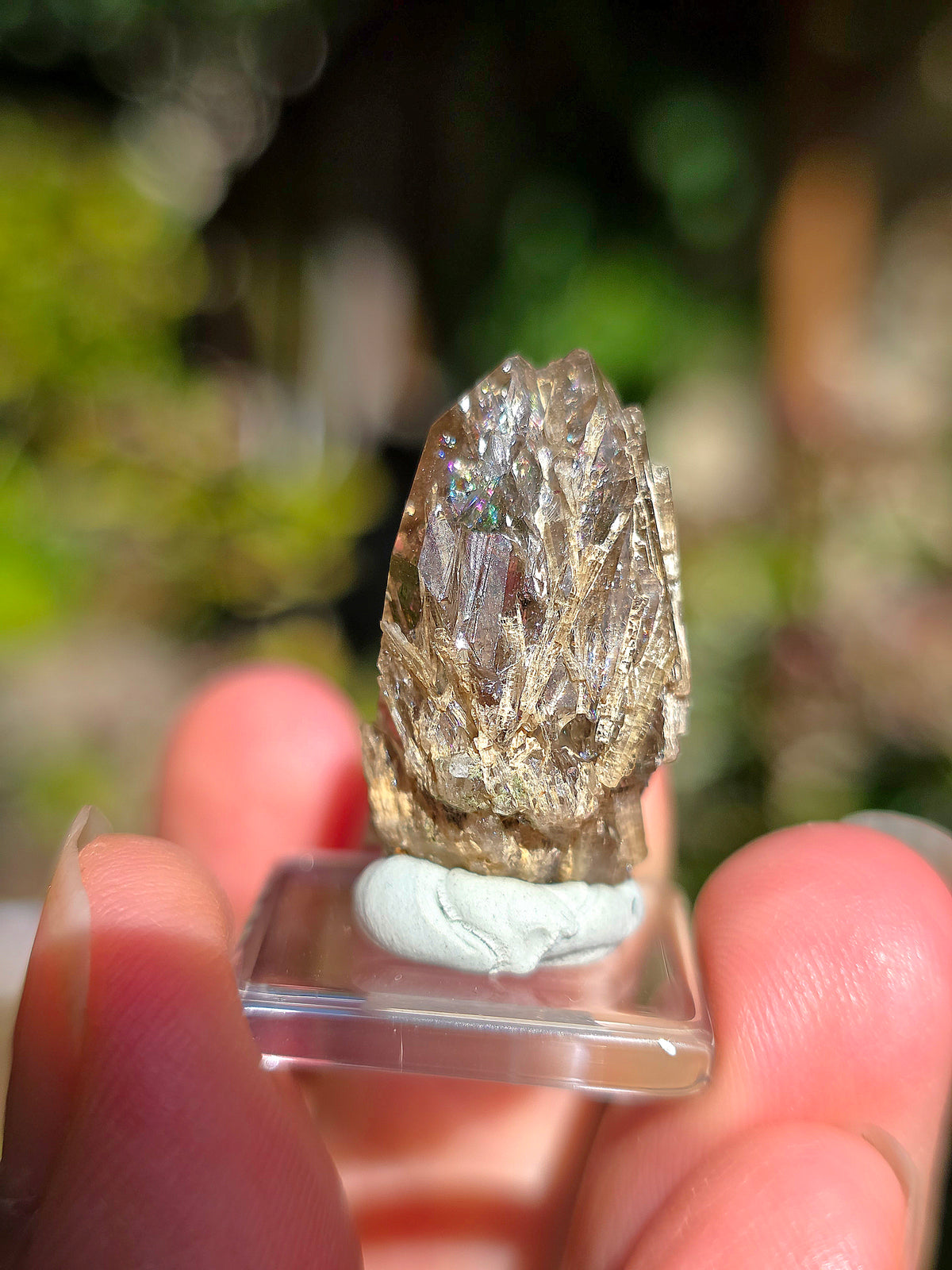  Quartz avec inclusions d'épidote des Pyrénées