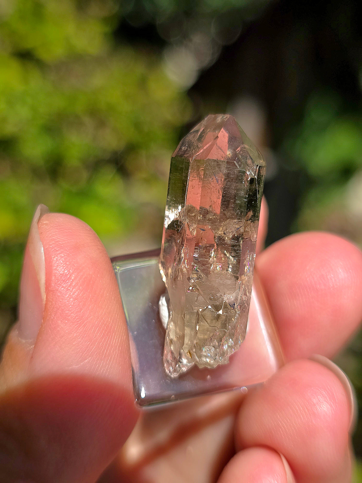 Quartz fumé d'Arrens dans les Hautes-Pyrénées.