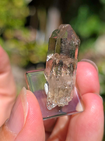 Quartz fumé d'Arrens dans les Hautes-Pyrénées.