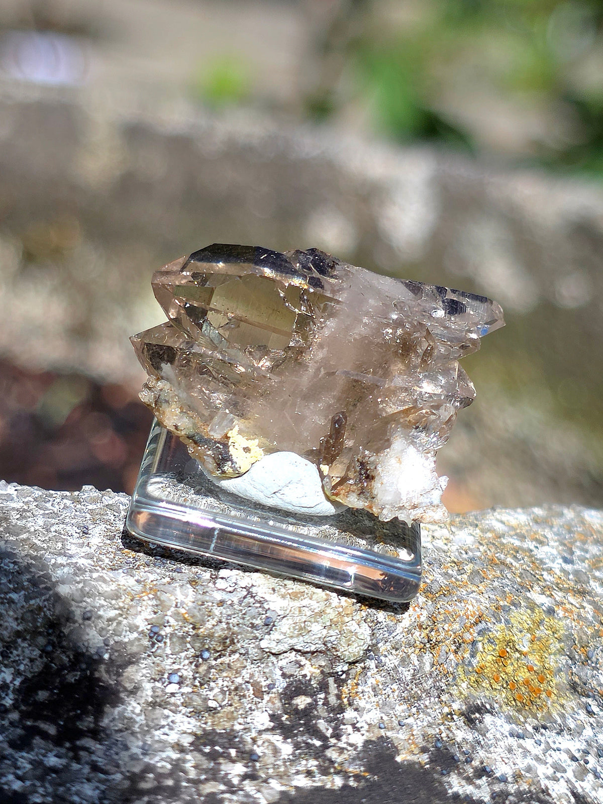Quartz à âme fumé d'Arrens dans les Hautes-Pyrénées